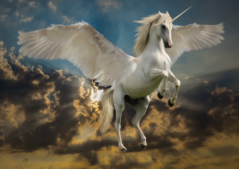 Unicorn Dreams